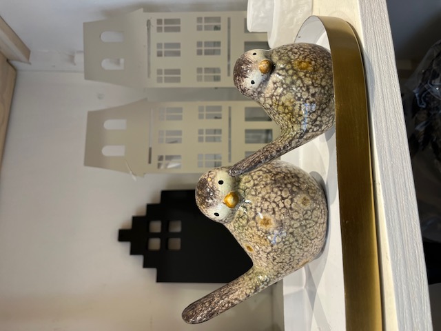 Vogel groot