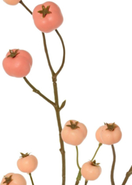 Appeltak