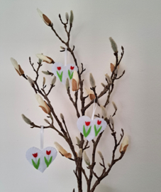 Hartje met tulpen