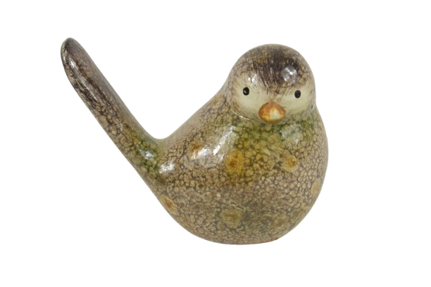 Vogel groot