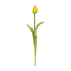 Tulp kunst geel