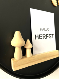 Houten paddenstoel 5cm