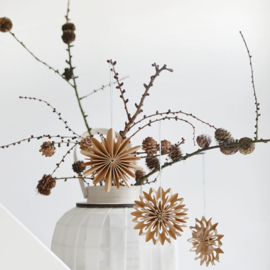 Sneeuwvlok camel type 2