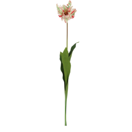 Kunst Parkiet Tulp rose/wit – 73 cm