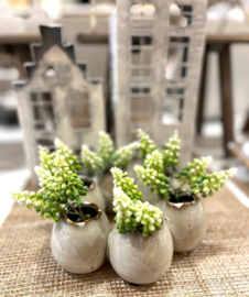 Witte druifjes