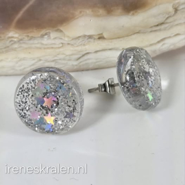 WI 0021: Oorbellen Glitters stekertjes