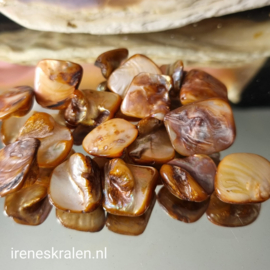 GB 014: Schelpstukken Bruin, ca 15-22mm