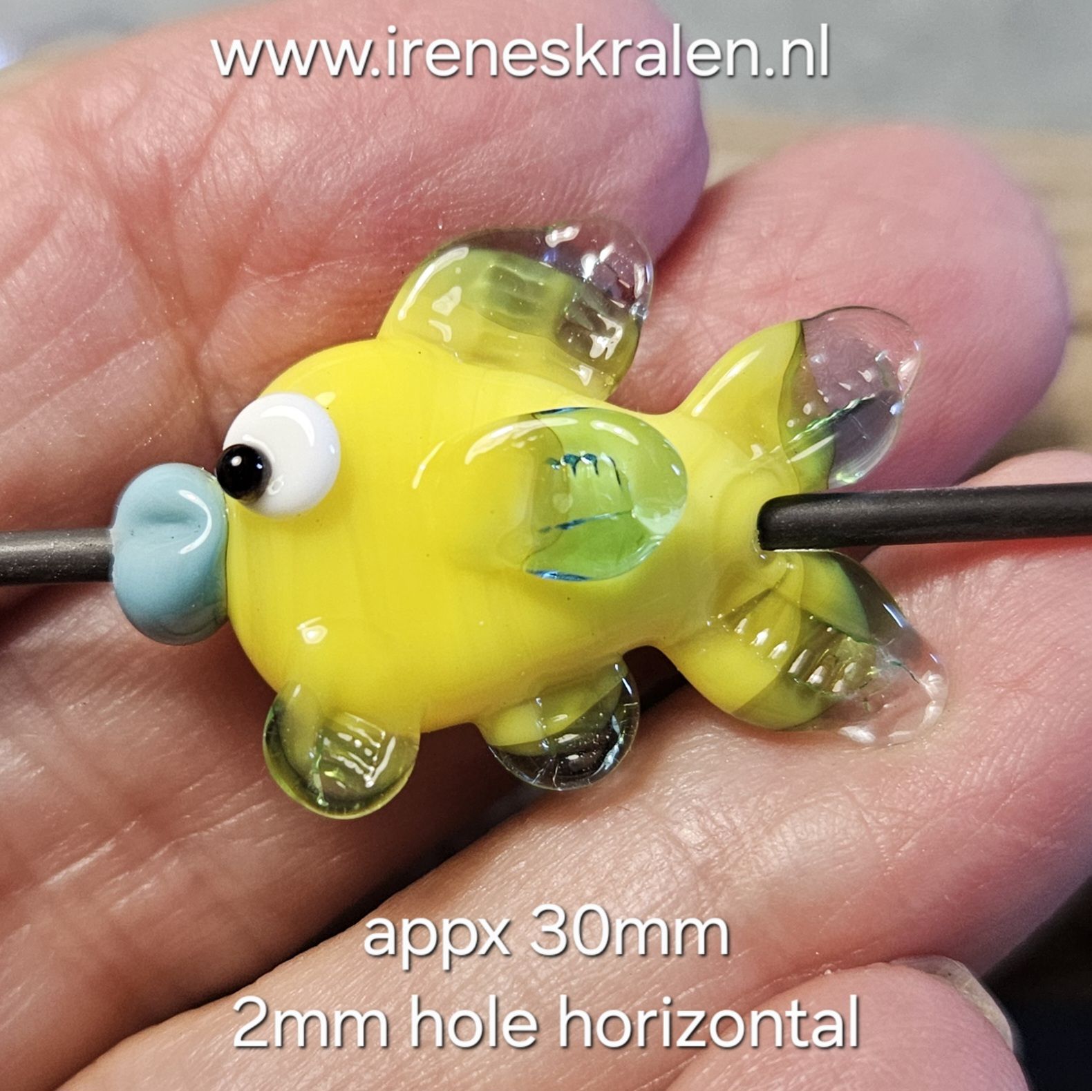IKGE011: Vis-Kraal Geel/Turquoise, ca 30mm (horizontaal gat van 2mm)
