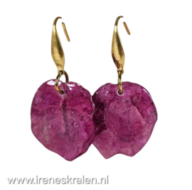 RZ 0005: Oorbellen van gedroogde Bougainvillea