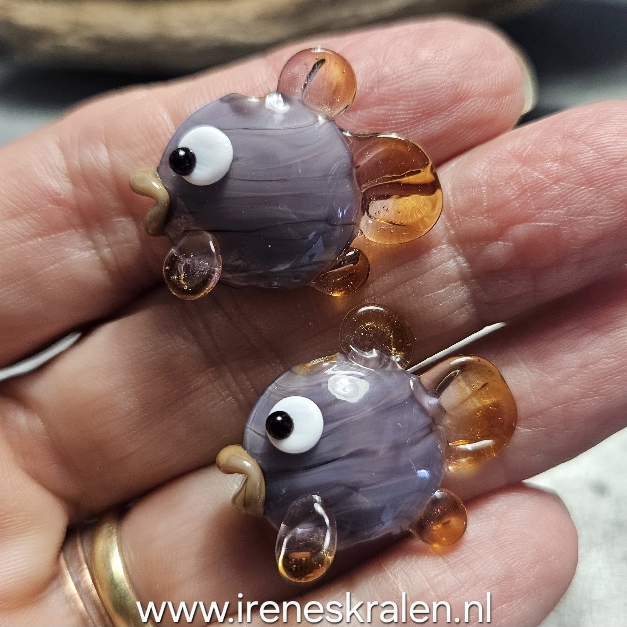IKPR0026: DuoSet Vissen Paars