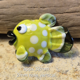 IKGR0009: Focal Kraal Vis ErwtenGroen, ca 32mm