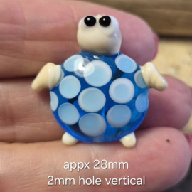 IKOC0061: Focal Kraal Schildpad Aqua, ca 28mm