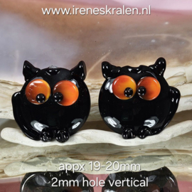 IKZW0008: DuoSet Katten, ca 19-20mm