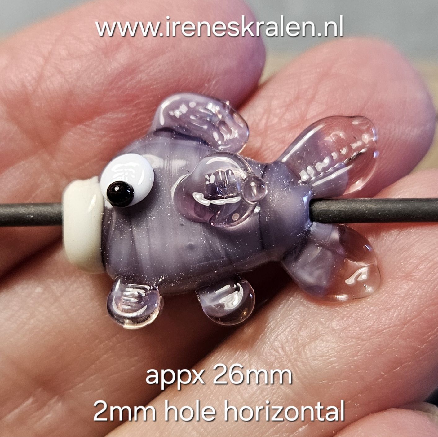 IKPR0014: Vis-Kraal Paars, ca 26mm (horizontaal gat van 2mm)