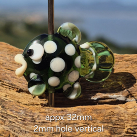 IKGR0020: Focal Kraal Vis Groen, ca 32mm