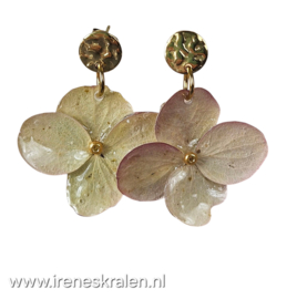 WI 0024: Oorbellen gedroogde Hortensia resin