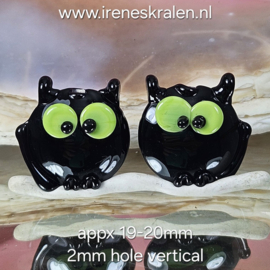 IKZW0022: DuoSet Katten, ca 19-20mm