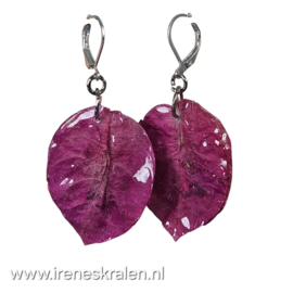 RZ 0039: Oorbellen echte Bougainvillea