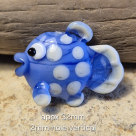 IKBL0009: Focal Kraal Vis MiddenBlauw, ca 32mm