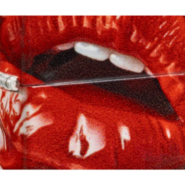 Zippo 60007829 49352 Lips Design