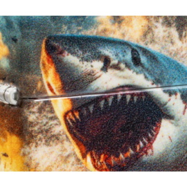 Zippo 60007819 49352 Shark Jump Design