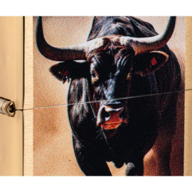 Zippo 60007820 204B Bull Design