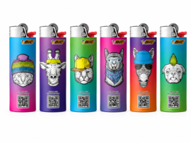 Bic J26 Maxi Augmented reality (50)