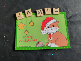 Jamie the Cat Kerst 2021 ansichtkaart