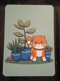 Jamie the Cat Kamerplant ansichtkaart