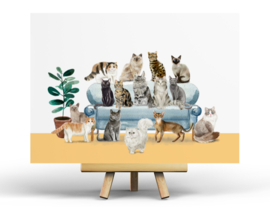 Cats ansichtkaart
