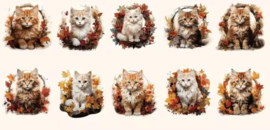 Katten Stickers