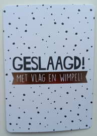 Geslaagd ansichtkaart