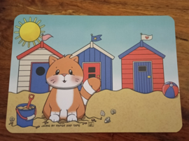 Jamie the Cat Zomer 2020 ansichtkaart