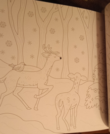 Kerst Kleurboek
