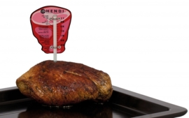 271193 Braad thermometer