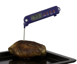 271308 Inklapbare thermometer