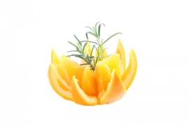 856055 Citrusschiller