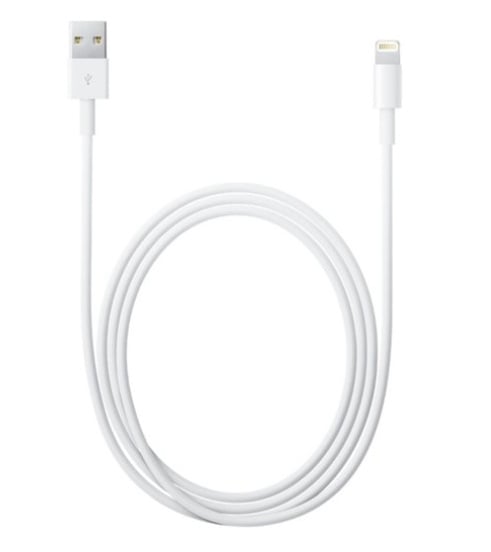 Andrew Halliday Me Vernederen Originele Apple Lightning naar USB Kabel 200CM lange kabel iphone ipad |  Opladers | Navi-world.nl