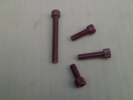 Violet Anodized Bolts M4 (four pieces)