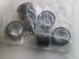 Weight (Set 6 pieces)