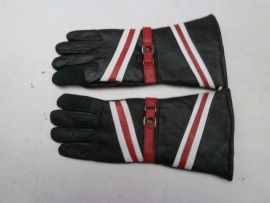 Pair of Gloves