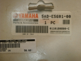 Kick Shaft Assy