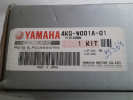 Yamaha YZF1000