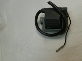 Ignition coil assy