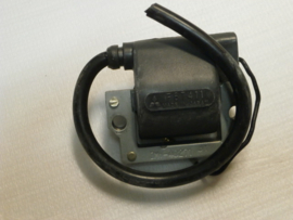 Ignition coil assy