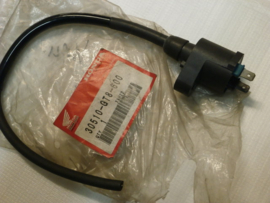 Ignition Coil Assy