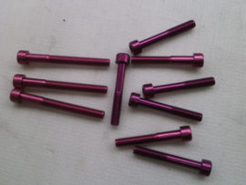 Violet Anodized Bolts M6X55 and M6X40