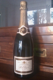 Bel` Vigne BLANC DE NOIRS € 25,= per fles