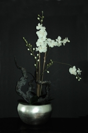 ORCHID CHUNKY WOOD