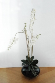 ORCHID STYLE